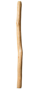 Medium Size Natural Finish Didgeridoo (TW1477)
